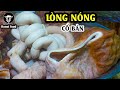 Lòng lợn Thúy Cảnh | đã miệng với bát lòng đặc biệt khó tìm ở thủ đô