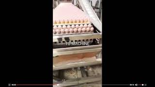 TG  Industrial full automatic machine (marshmallow Ice-cream cotton candy)