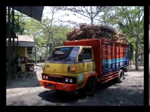 TRUK ANGKUTAN TEBU MASUK PABRIK GULA TASIKMADU