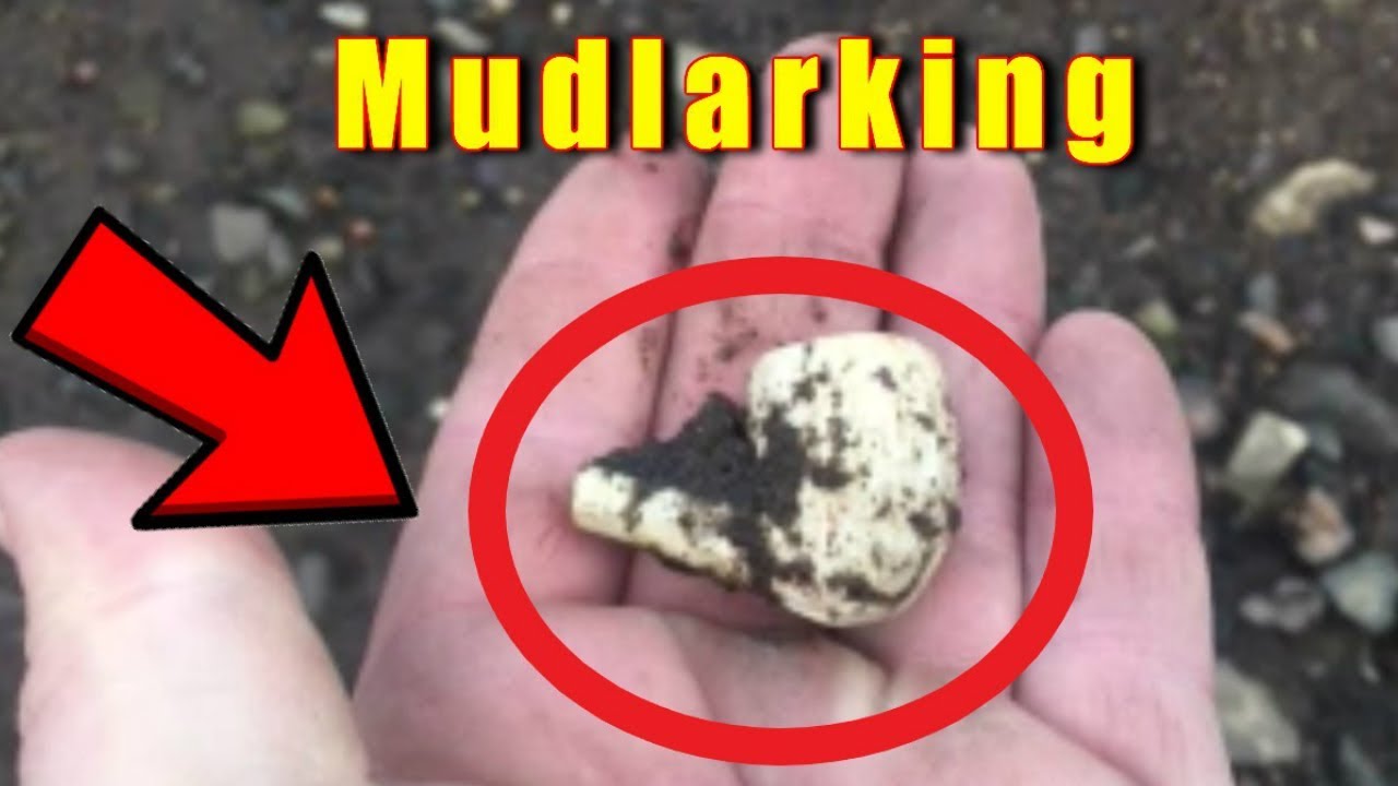 Mudlarking at a Roman beach marker stone on bowling beach next to the Antonine wall