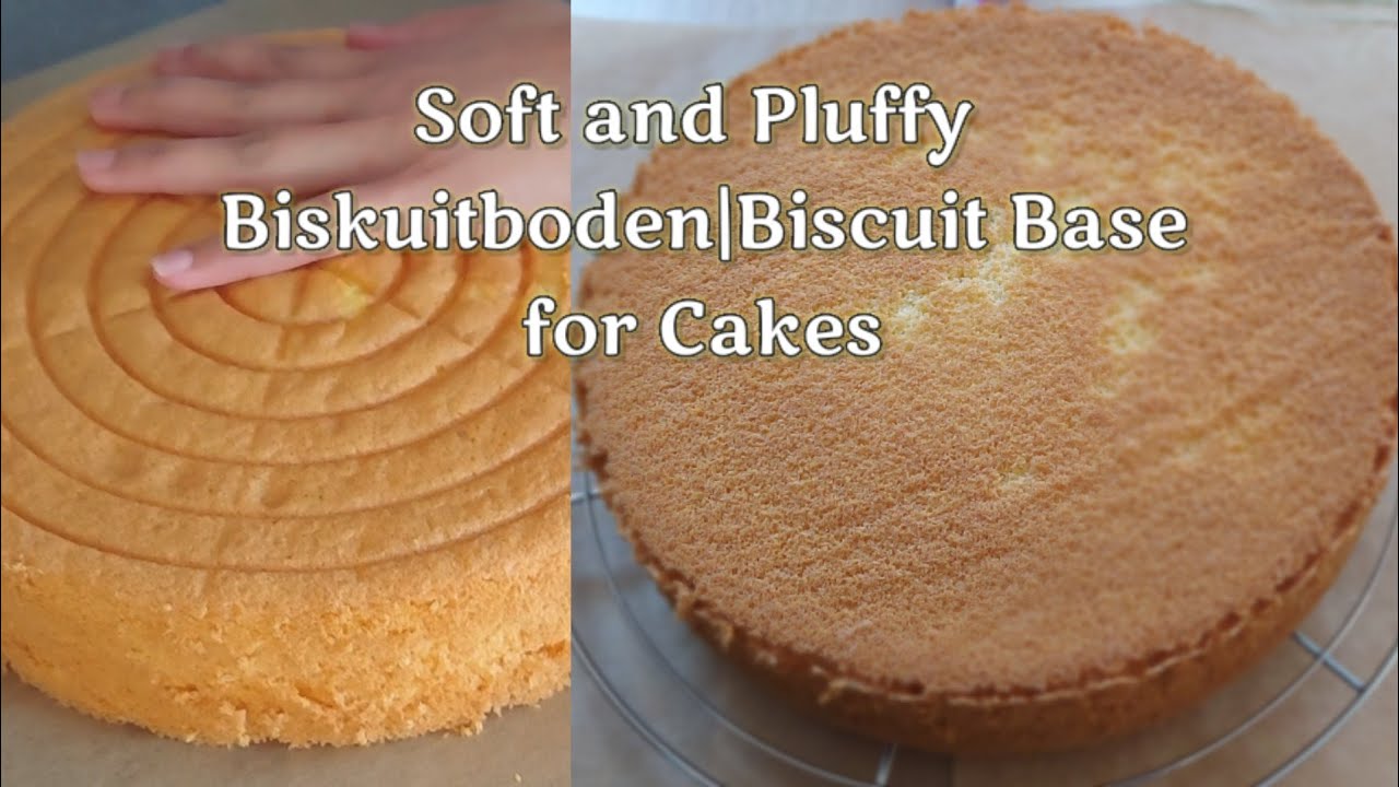 Biskuitboden Grundrezept|Sponge Cake-Biscuit Recipe|Soft and Pluffy ...