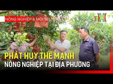 Promoting Local Agricultural Strengths | Agriculture and Environment