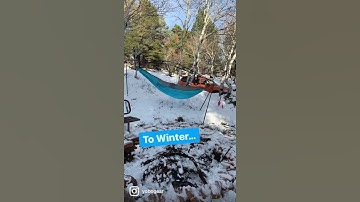 Cricket Hammock Stand works in all Seasons