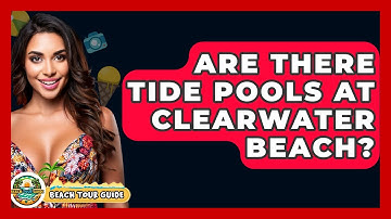 Are There Tide Pools At Clearwater Beach? - Beach Tour Guide