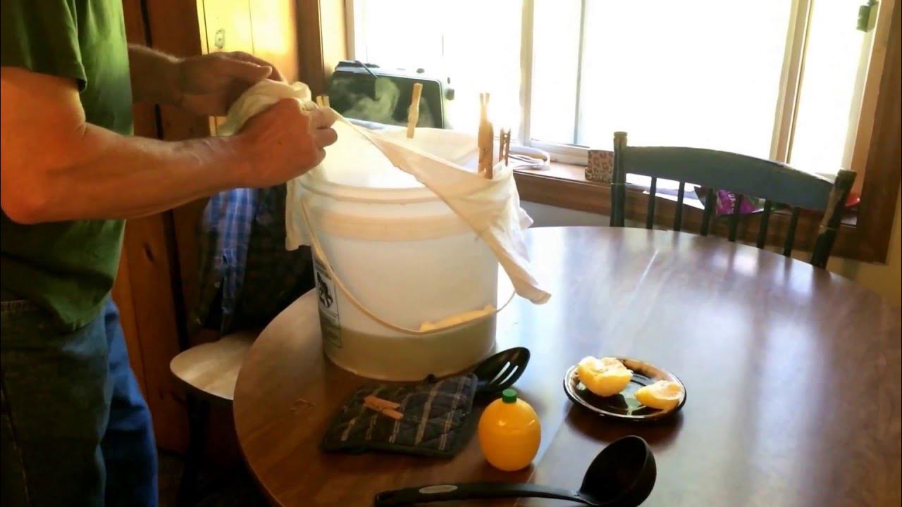 How to make dandelion wine! YouTube