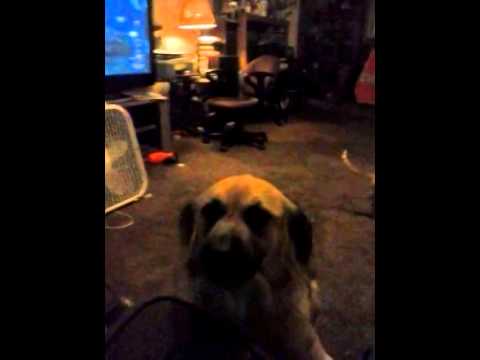 video phone beyonce mp3 Annas smile