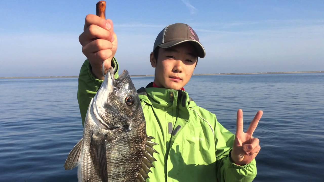 大 在 埠頭 で 釣れる 魚