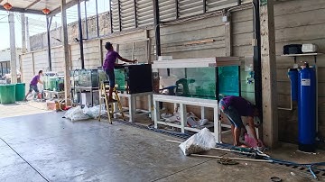 Ulike Media - งานระบบ Overflow ตู้ปลา 60 นิ้ว กรองข้าง 4 ใบ พร้อมล้าง 100% จบลงปลาตามเดิม Set 2