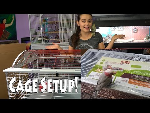 Living World Cage Setup & Unboxing