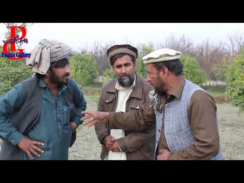   پاچا ماما څه وایی په اولاد باید څه قسم نوم کیخودل شی