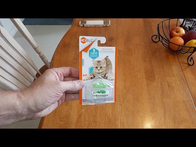 the sensual vibe sucking vibrator SCRUFFY'S Vibrating Mouse Cat Toy