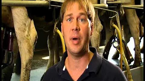 Dairy Farming FAQ - Are There Antibiotics In Milk?