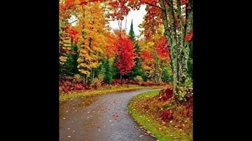 سورة محمد    سورة (٤٧) الآية (٣٨) Muhammad surasi (47) oyat (38)