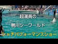 G.W超満員の鴨川シーワールド✨️シャチパフォーマンスショー