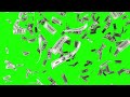 Dollars Money Falling Free Background Animation Loop footage Green screen Motion Graphic Video VFX