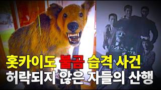 Hidaka Dağlarındaki Trajedi Fukuoka Vander Vogel Boz Ayı Saldırısı Olayı