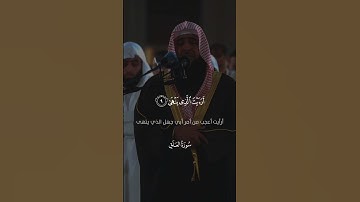 سورة العلق 9-19 بصوت ادريس ابكر#ادريس_ابكر  #سورة_العلق  أَرَءَيۡتَ ٱلَّذِي يَنۡهَىٰ (9)