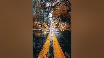 القارئ عبدالرحمن مسعد||﴿كُلُّ نَفسٍ ذائِقَةُ المَوتِ ثُمَّ إِلَينا تُرجَعونَ﴾ سورة العنكبوت