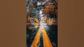 القارئ عبدالرحمن مسعد||﴿كُلُّ نَفسٍ ذائِقَةُ المَوتِ ثُمَّ إِلَينا تُرجَعونَ﴾ سورة العنكبوت