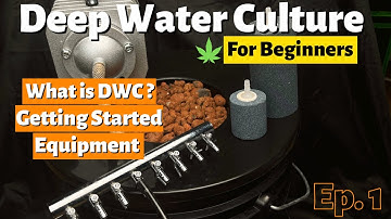 Deep Water Culture (DWC) Hydroponics For Beginners Ep.1 - What Is DWC, Equipment, Getting Started