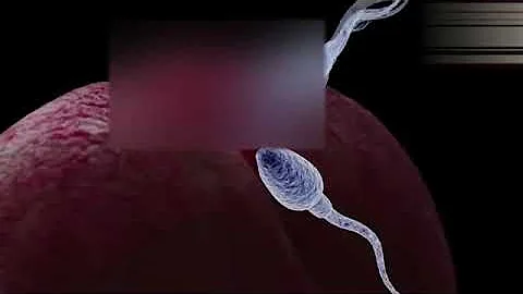 فوائد الجماع من الخلف هام للمتزوجين 