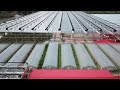 China's Advanced Innovative Farming At Another Level