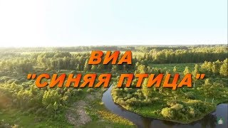 Video thumbnail of "Вы Cлыхали Как Поют Дрозды | ВИА Синяя Птица | Солист Александр Дроздов | Official Video"