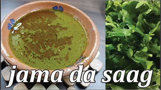 Jama Ka Saag / Unique Dahi Wala Jama Ka Saag / First Gahi Wala Saag Recipe On YouTube / Unique Saag