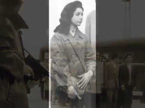 Lettre De Fayrouz A Djamila Bouhired 1959 Video Youtube