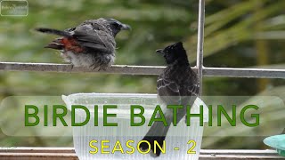 BIRDIE BATHING   Season 2