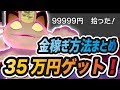 【ポケモン剣盾】1周で35万円ゲット！最高効率金策 "キョダイマックスニャース" でお金稼ぎ！ 攻略まとめ【ポケットモンスター ソード・シールド】