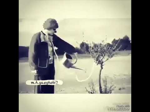 من از زندگی تو هوات خسته ام