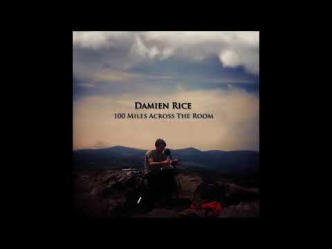 Damien Rice -