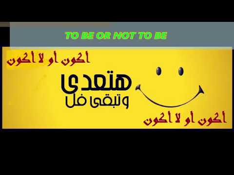 مدح محمود الليثي حب النبي كامل