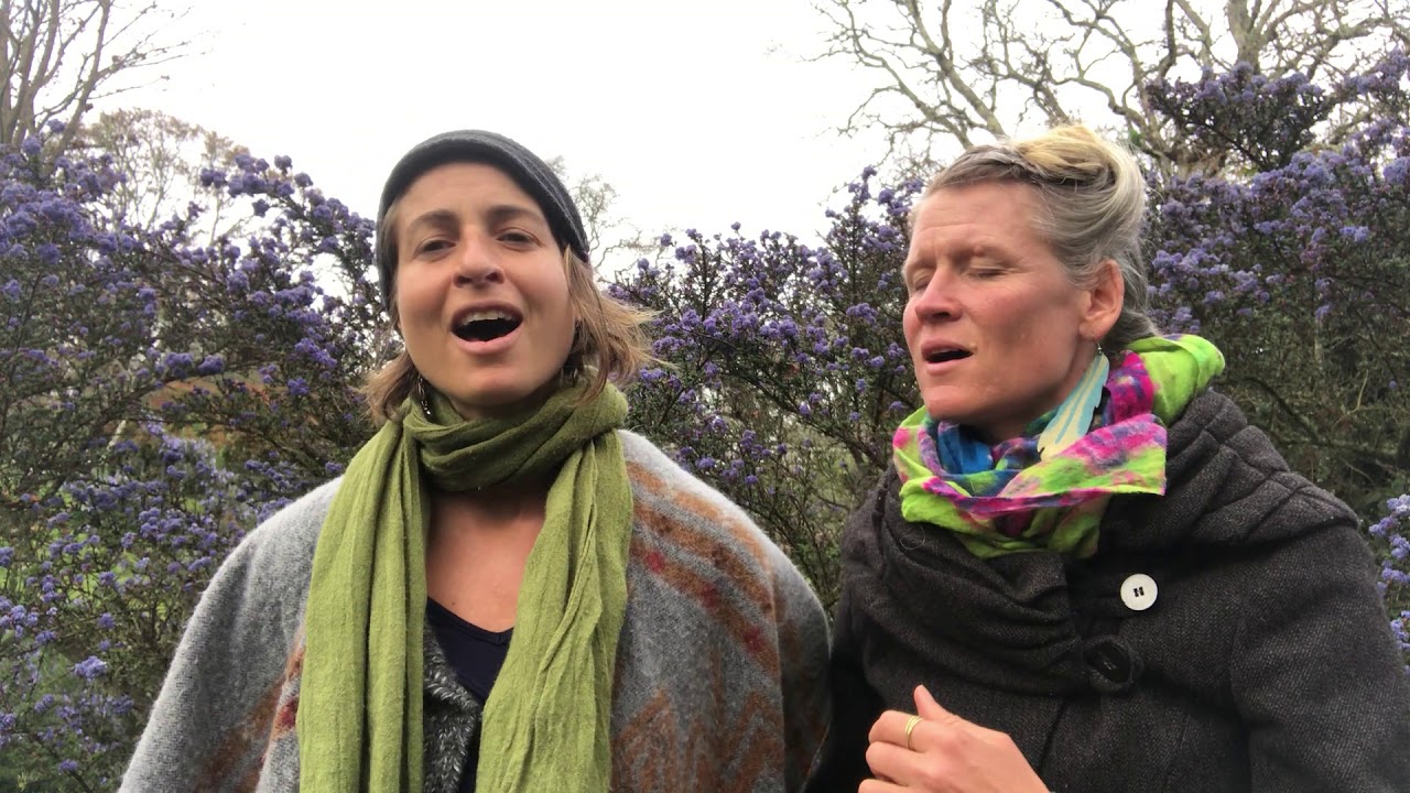 We Shall be Known- Nooney Tunes