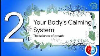 Anger Tool: 5-5 Resonance Breathing screenshot 4