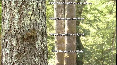 Associated Oregon Loggers, Inc. - Part of Our History, Part of Our Future