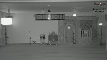 خاطرة الفجر سورة الفرقان 55  آلهة لا تضر ولا تنفع أين عقولهم؟