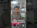 perkutut bangkok