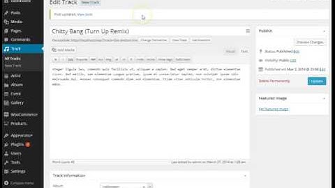 [Noise] How to use SoundCloud player to play tracks