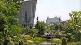 ペットふれあい王国 Youtube ペットふれあい王国 Youtube