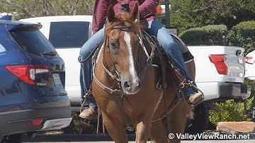 Spoonful N Freckles and Brownie - riding in town! - ValleyViewRanch.net