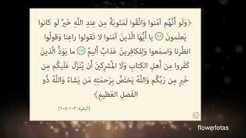 سورة البقرة 103 الى 105🍃