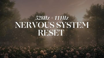 Nervous System Reset | 111Hz + 528Hz The Deepest Healing, Stress Relief, Cortisol Balance, Deep Calm