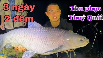 3 Ngày 2 Đêm - Thu Phục Trắm Đen Tự Nhiên Khủng