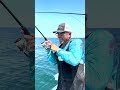 Fishing with a Chicken Leg? #shorts #viralvideo #fishing