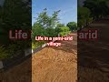 Village life. Slow and #lifeisbutadream #germany fulfilling #azubilife #kenyavillagelife