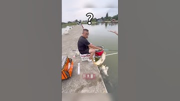Dùng cành cây câu cá còn dễ hơn cần câu 20 triệu #shorts