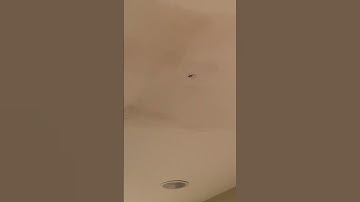 Roof might collapse because of water dripping by the New AC Unit