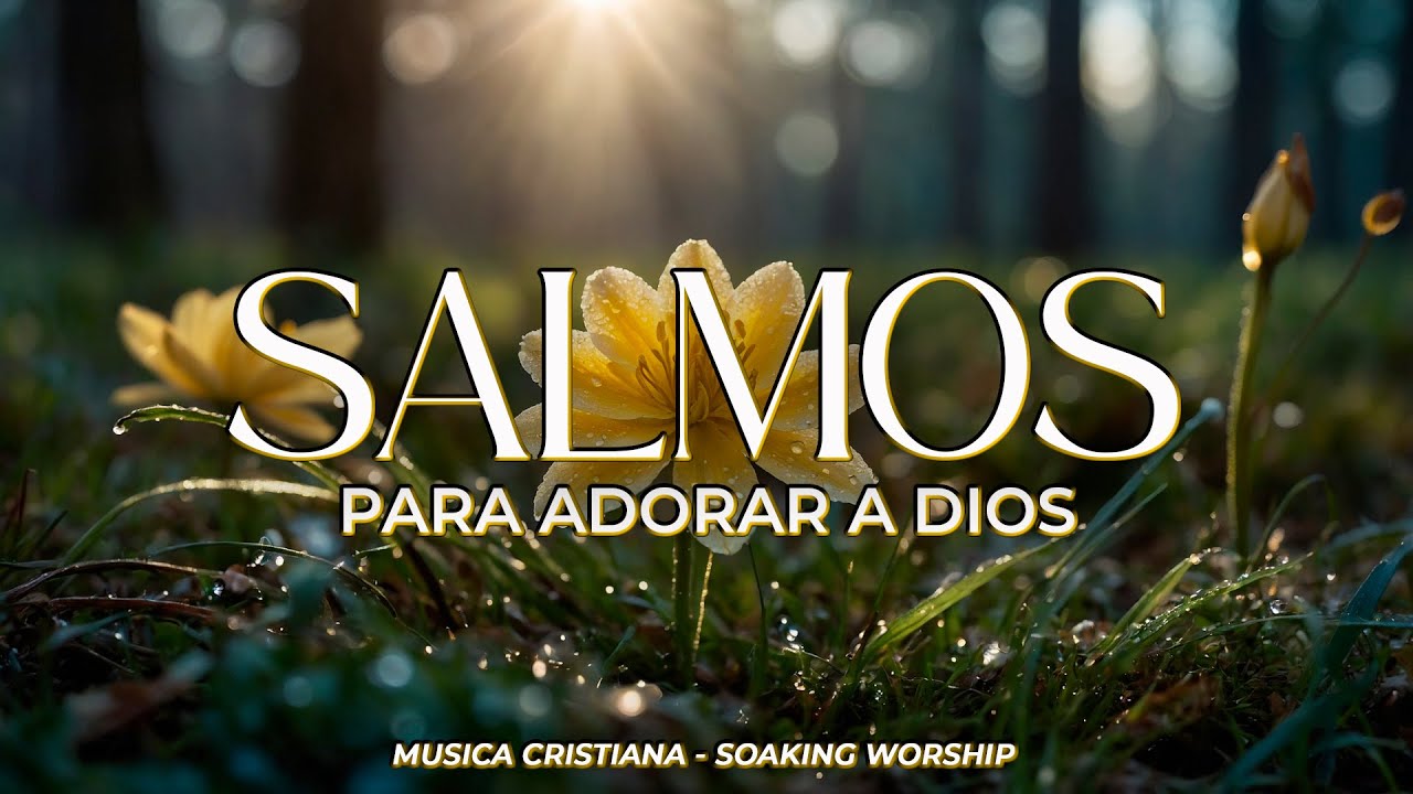 1 HORA de SALMOS CANTADOS 🙏 | Para Buscar a Dios en Intimidad 🌿 | Adoración en la Presencia de Dios